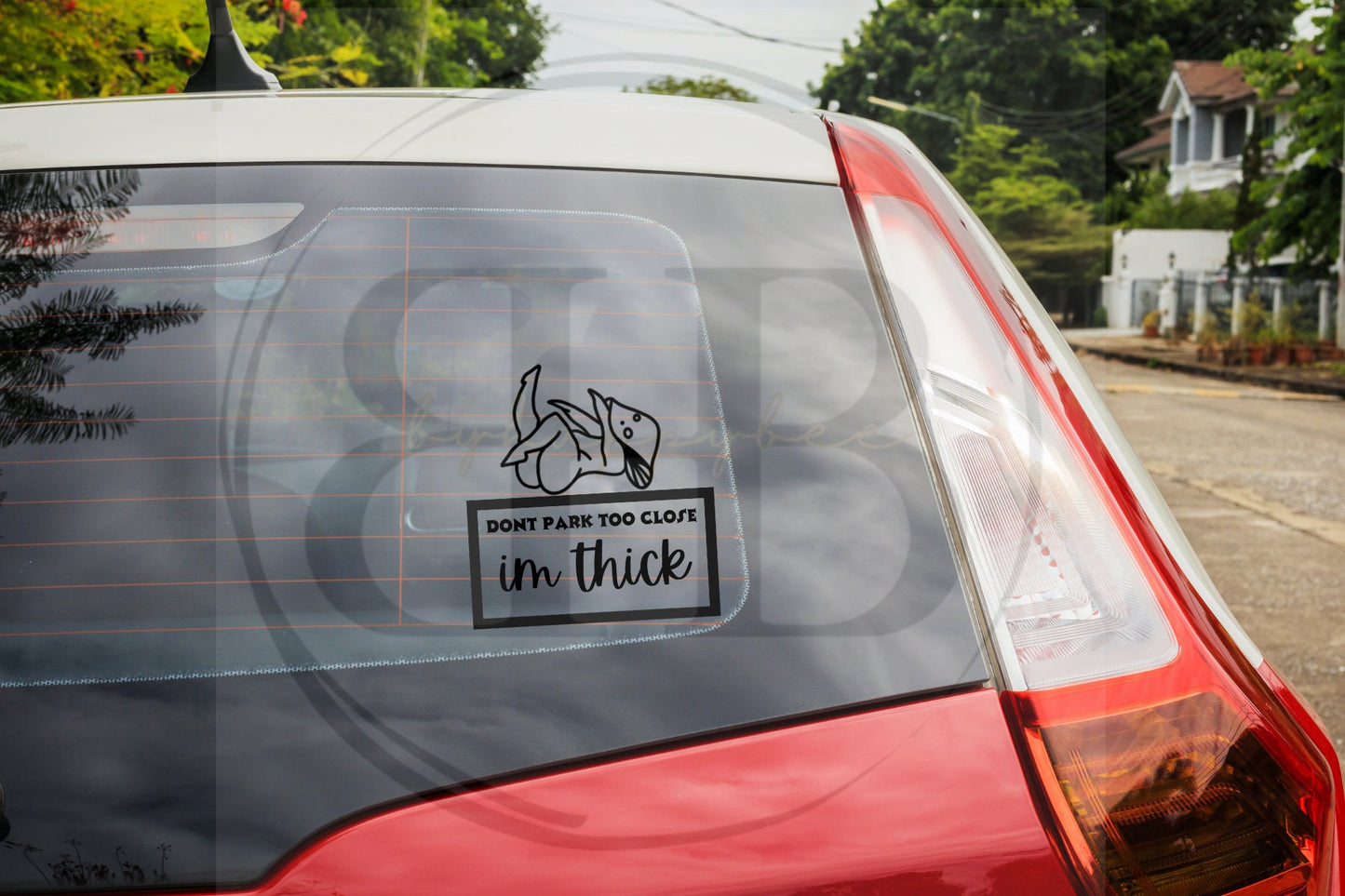 Don't Park Too Close Mushy Lady Car Decal / Car Decal / Decal /